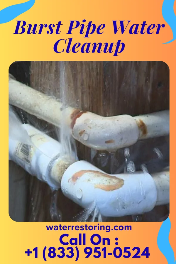 Burst Pipe Water Cleanup in Davisboro, GA