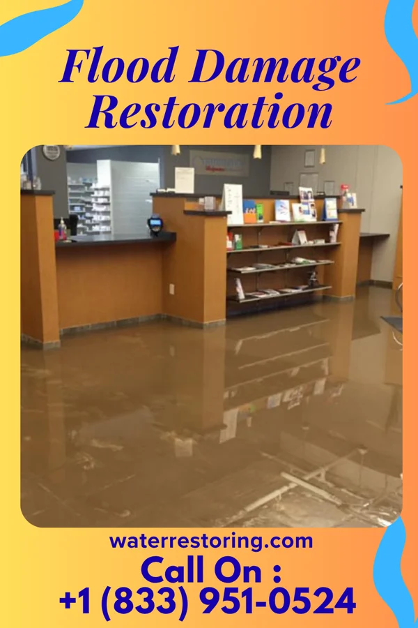 Flood Damage Restoration in Davisboro, GA